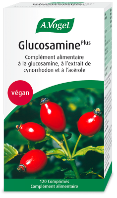 GlucosaminePlus